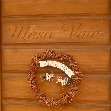 Bed and Breakfast Maso Vaia Cavalese Exterior foto