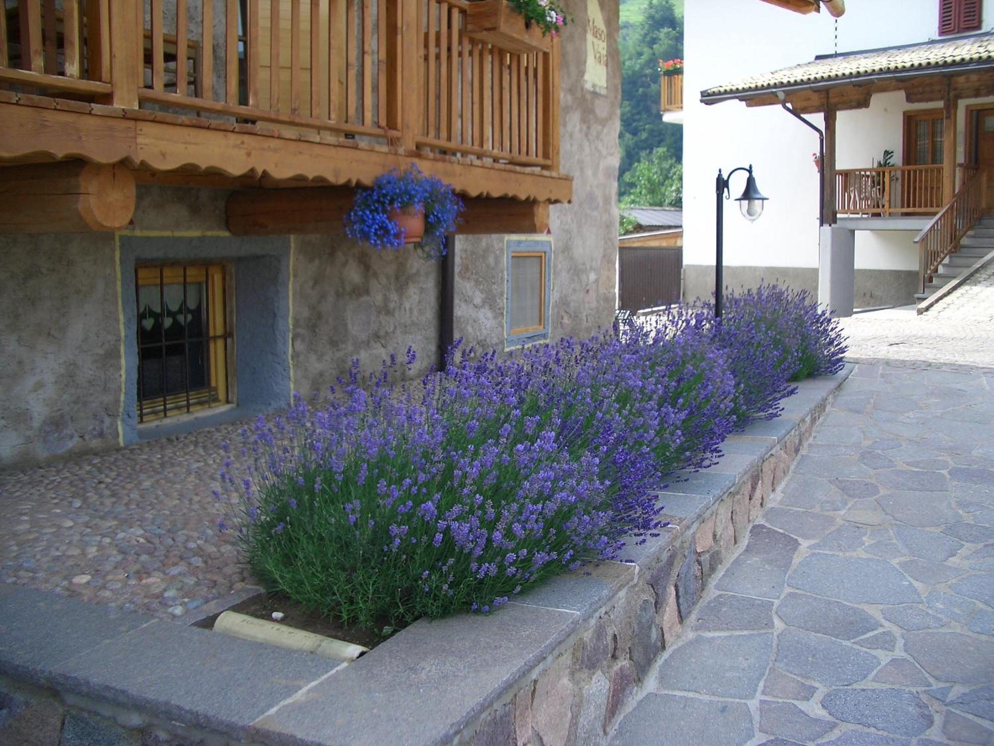 Bed and Breakfast Maso Vaia Cavalese Exterior foto